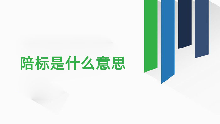 陪标是什么意思